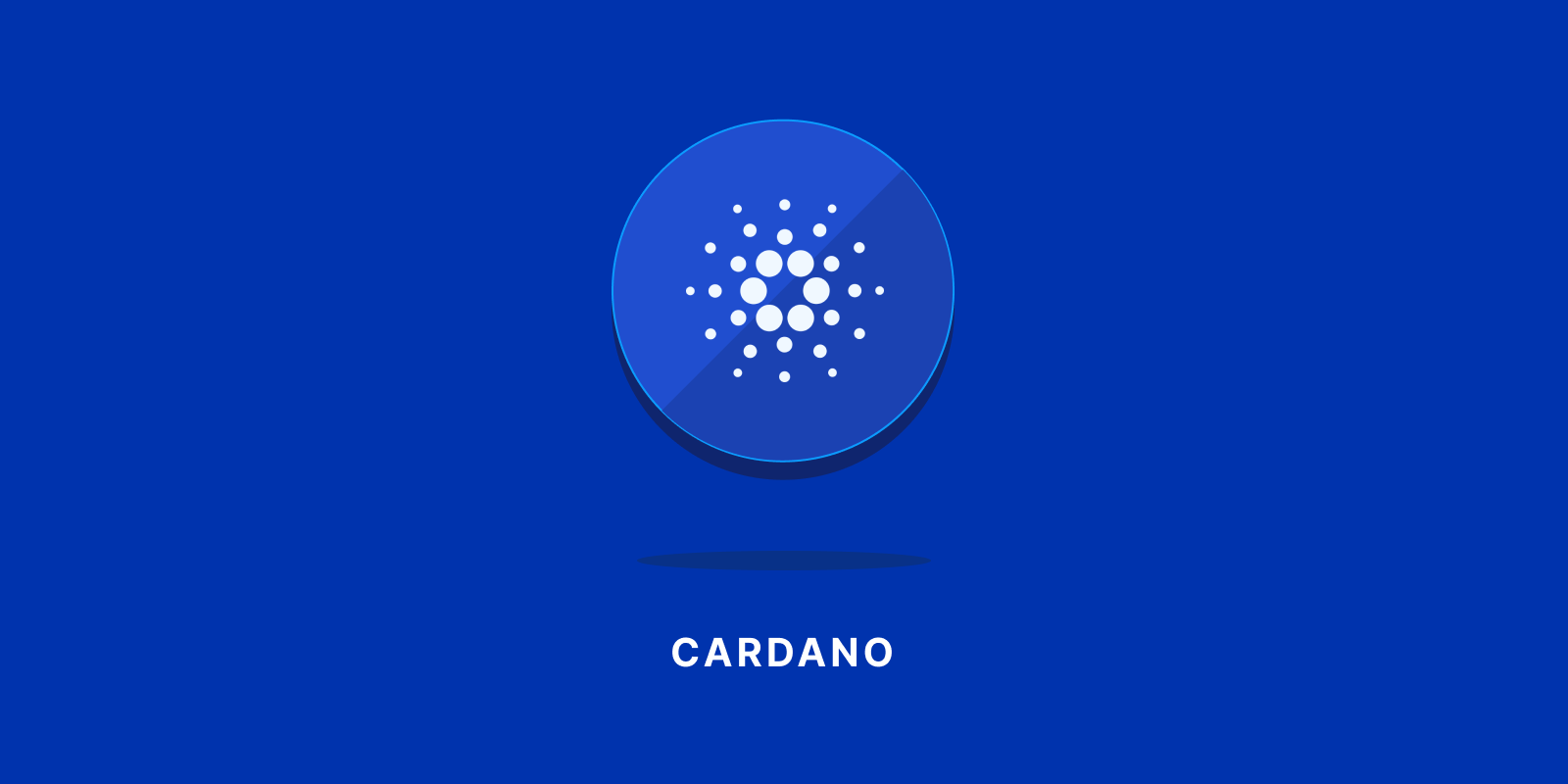 hire cardano developers