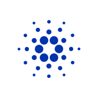 hire cardano developers