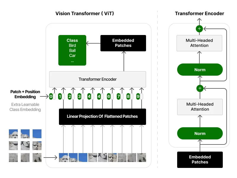 Vision Transformer ( ViT)